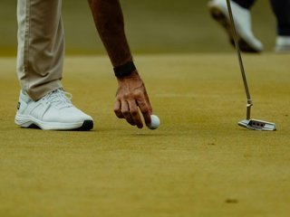 Survey the Course